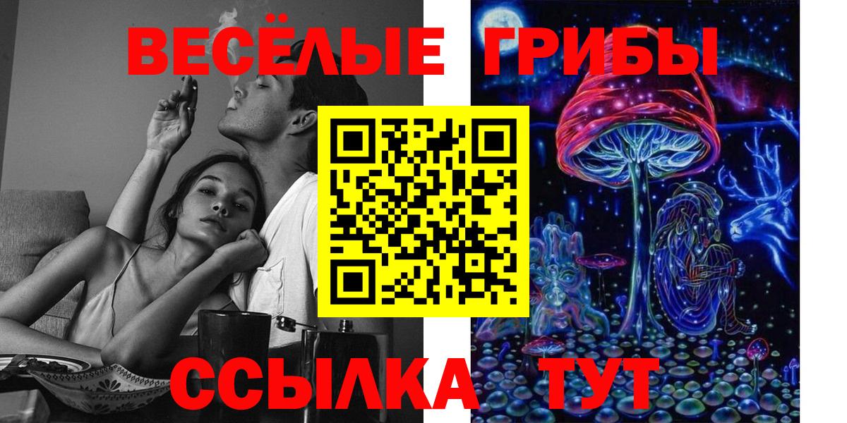 Шебекино  купить закладку  Вход с VPN  Галлюциногенные грибы MAGIC MUSHROOMS 
