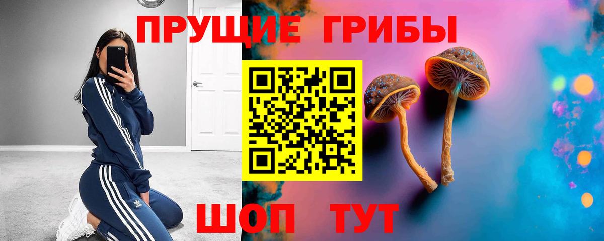 Псилоцибиновые грибы ЛСД Шебекино